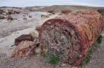 Troncos petrificados há mais de 200 milhões de anos no Petrified Forest National Park, no Arizona - Estados Unidos